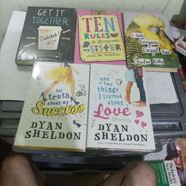 novel import hardcover The truth about my  Success, One or Two things I Learned about Love (Dyan She
