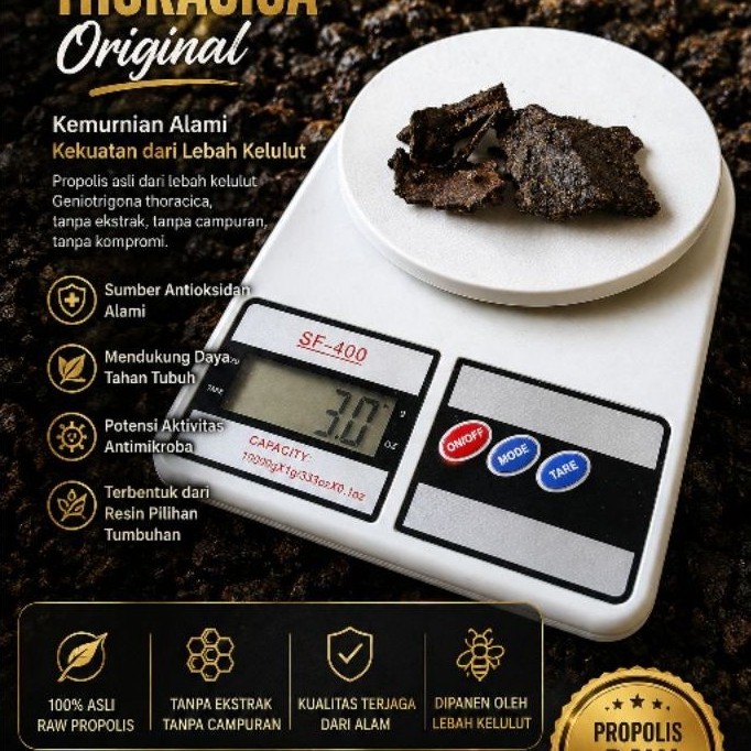 Propolis Lebah Klanceng/Teuweul/Kelulut Trigona 30gr Jenis Geniotrigona Thoracica