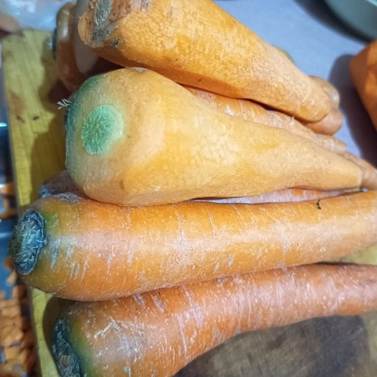 Wortel segar buah-buahan wortel untuk masakan dan salad