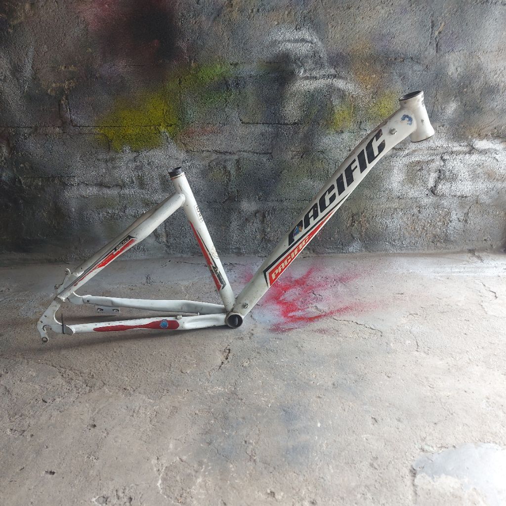 frame mtb pacific 24