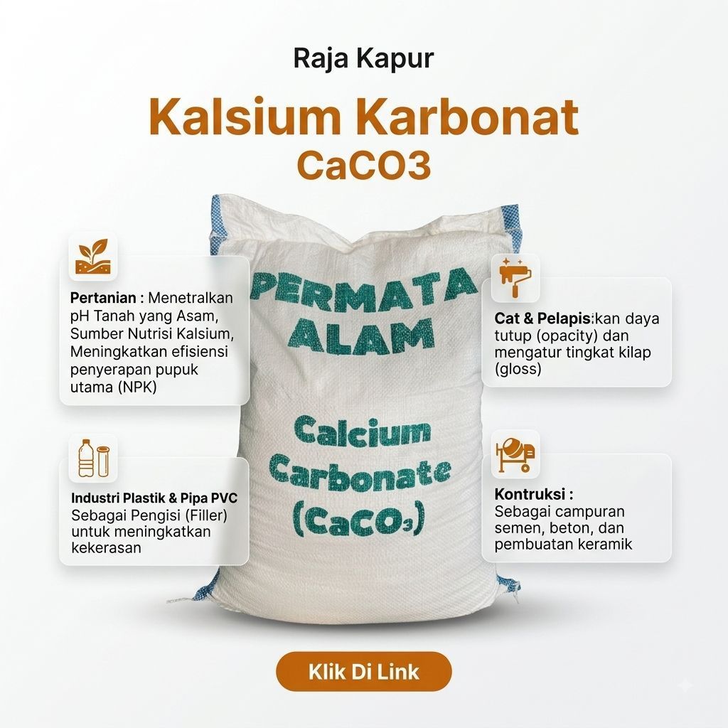 Raja Kapur Kalsium Karbonat CaCO3 Permata Alam Kemasan 25Kg untuk Pertanian Konstruksi Cat