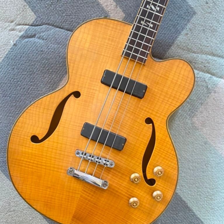 Bass Washburn Semi Hollow pickup bartolini mk1 second