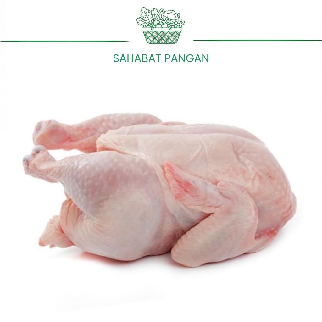 Daging Ayam Utuh Segar 1 Ekor