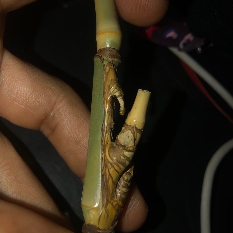 liontin bambu unik petuk jalu
