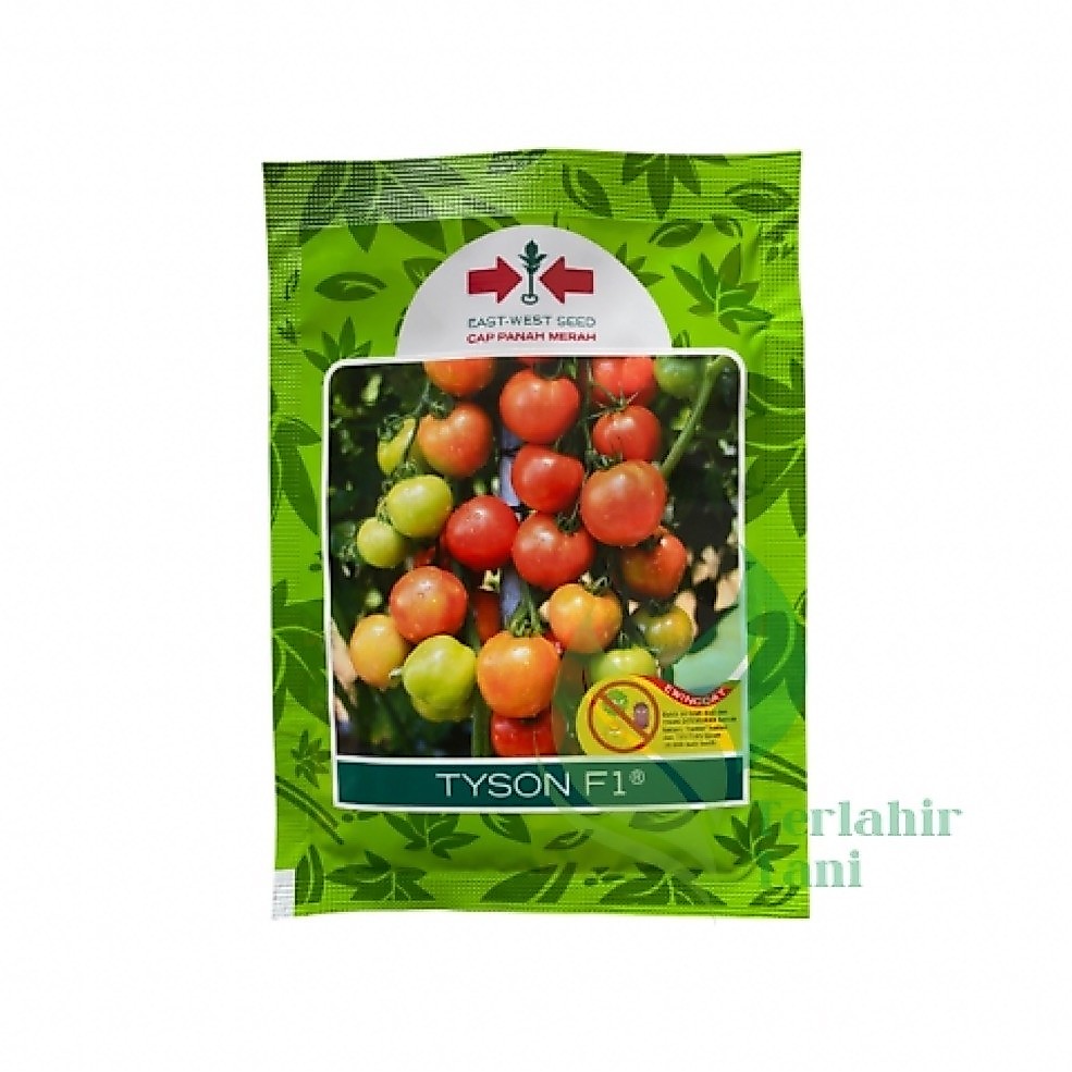 Benih Tomat Tyson F1 10 gram