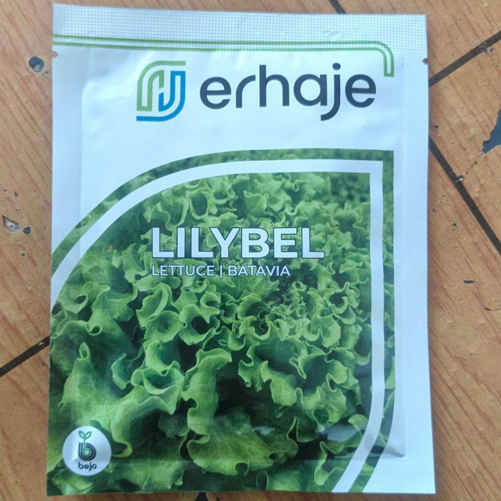 Benih Selada Lilybel 1000bj - Bejo Seed