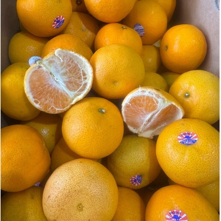 Jeruk Mandarin Honey Murcot Australia Rasa Manis Harum