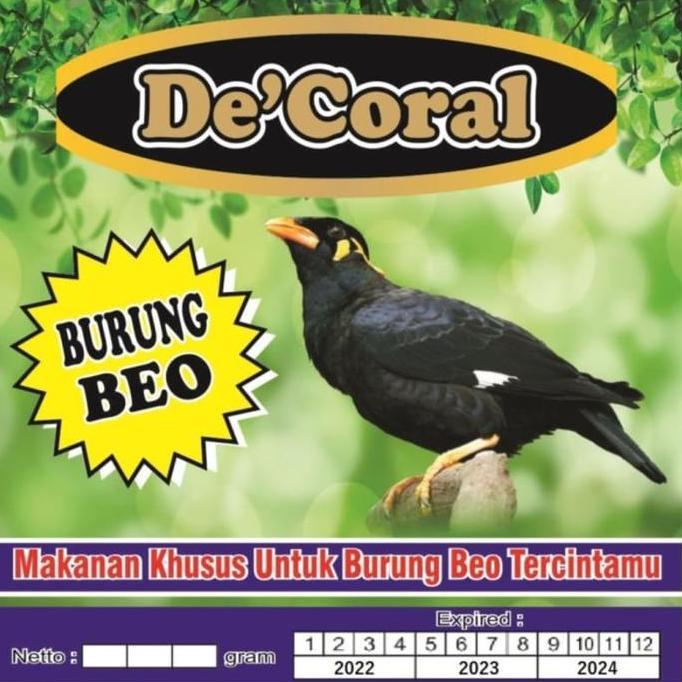 Makanan Burung Beo | Makanan Beo Juara | Bejo |Beo Bejo