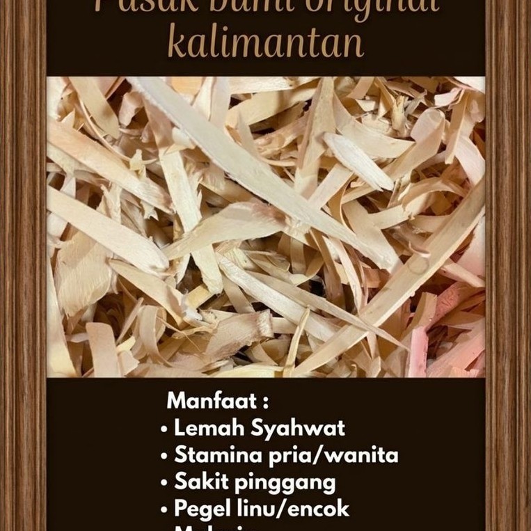 pasak bumi Original kalimantan