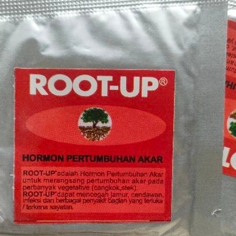 root up perangsang akar