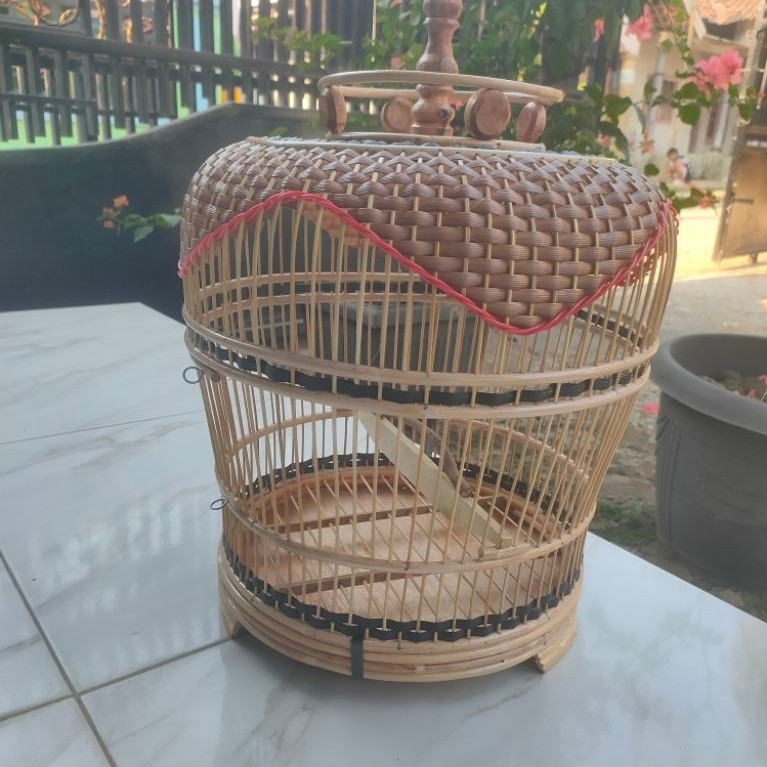 sangkar kutut minion