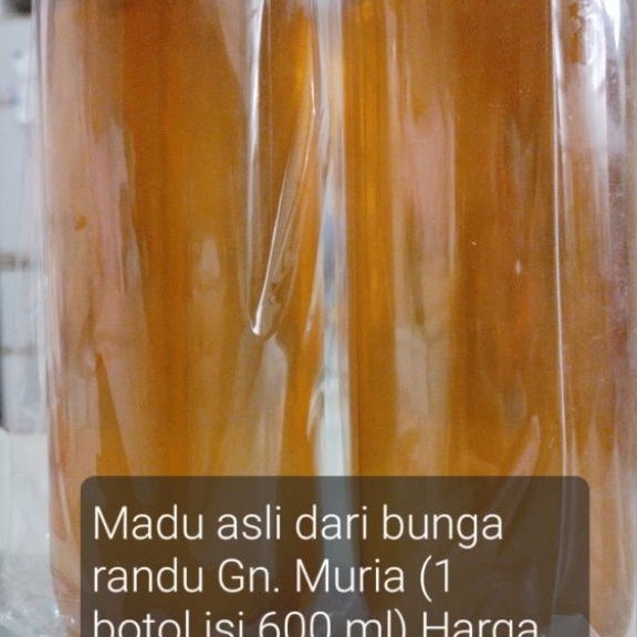 Madu asli bunga randu Gn. Muria 600 ml botol