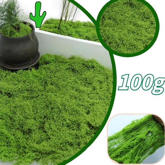 revasin9 - 100g rumput sintetis aquascape aquarium | tawetan tahan lama rumput sintetis aquascape ja