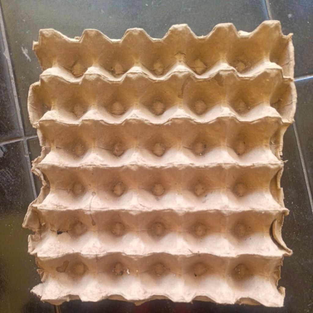 Egg Tray Karton Bekas - Praktis, Ekonomis, Kapasitas 30 Telur