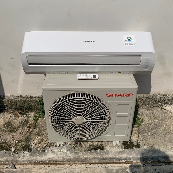 Ac sharp 1/2pk second