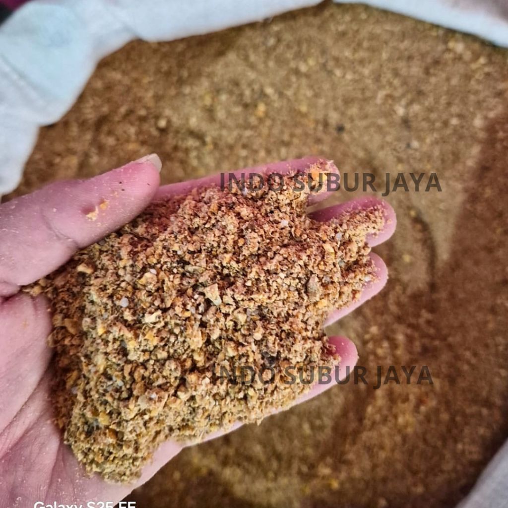 Par-li– Repack 1 KG Pakan Pur Ayam Petelur Comfeed