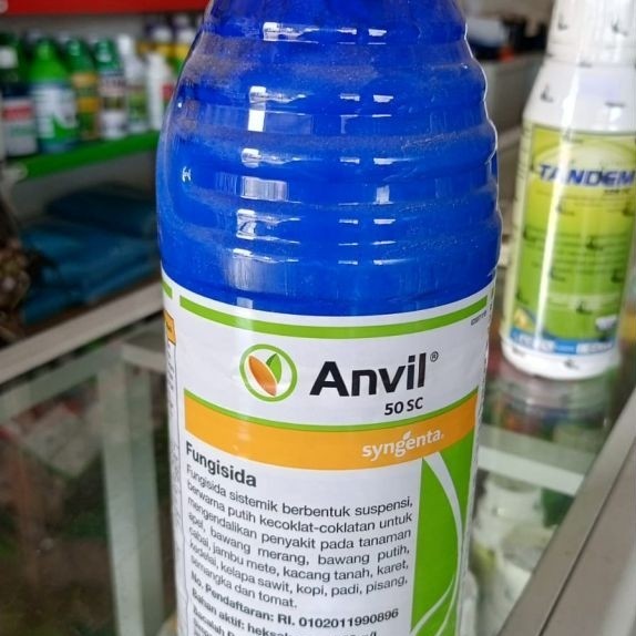 fungisida sistemik bermerek Anvil 50 SC 1L