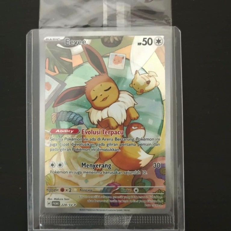 Co pemenang promo Kartu eevee