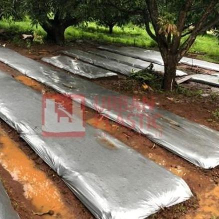 Terbaik Plastik Mulsa Roll 17kg / Plastik Mulsa Merk Urban Plastic 160cm Paling keren