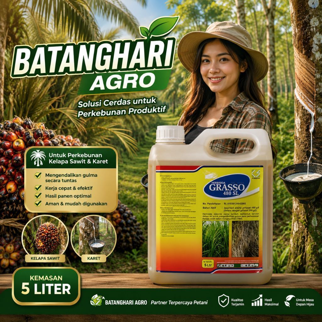 Herbisida sistemik GRASSO 480 SL kemasan 5 liter / racun rumput glifosat