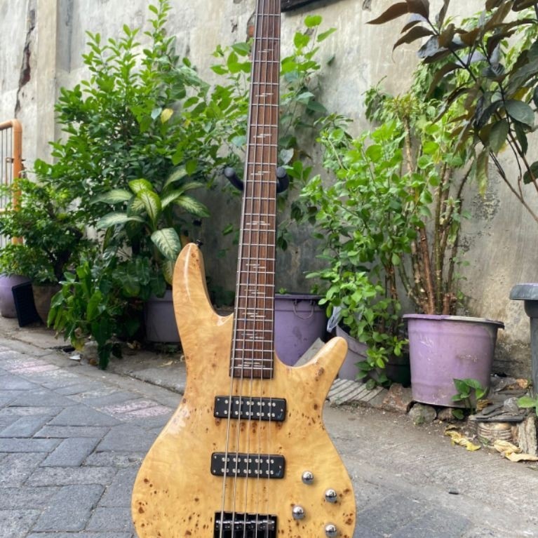 bass Schecter 5strings aktif