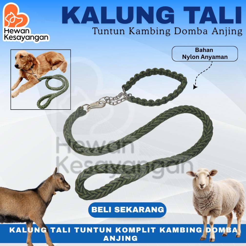 Kalung Dan Tali Tuntun Kambing Domba Nilon Kuat Aksesoris