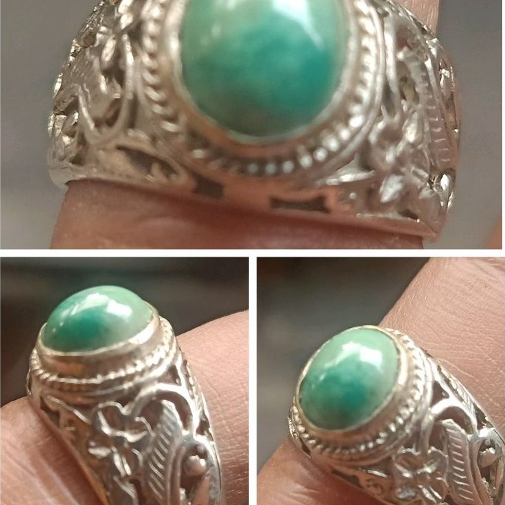 natural pirus Persia polos