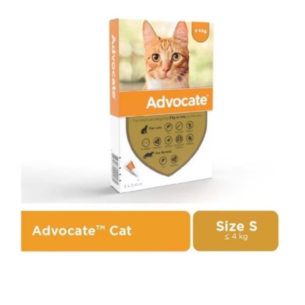 Advocate - Obat Kutu Advocate - Obat Kutu Kucing Advocate