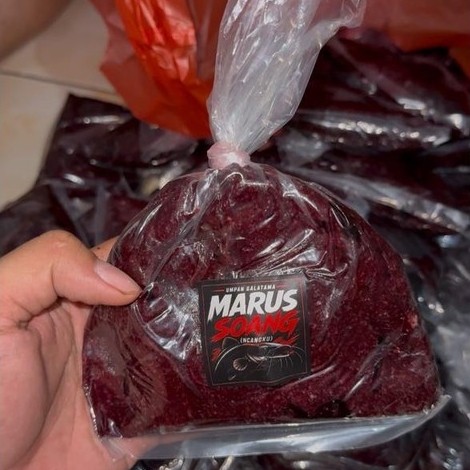 Umpan Galatama Lele Pelet Darah Marus dan soang