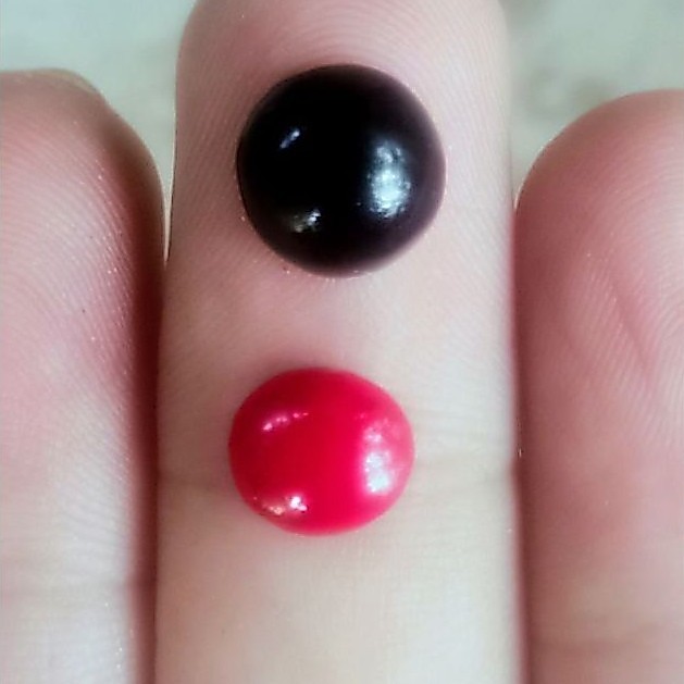 Natural Marjan Laut Merah Original