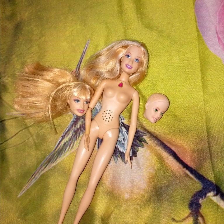 barbie rosella island princess junk take all