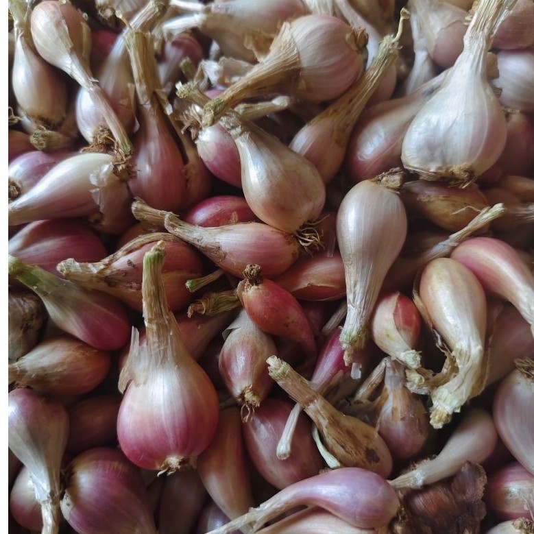 bawang goreng sumenep 1 kg
