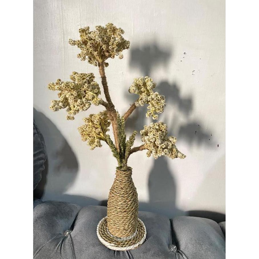 PAKET BUNGA KERING DAN VAS MENDONG/ DEKORASI RUSTIC/ BUNGA EDELWEIS ESTETIK