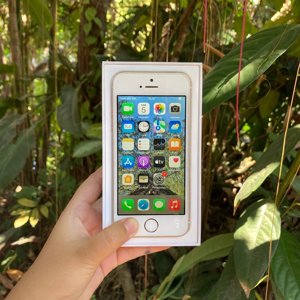 iPhone SE 1st Gen (2016) - 64GB Gold (BEBAS RESET/UPDATE)
