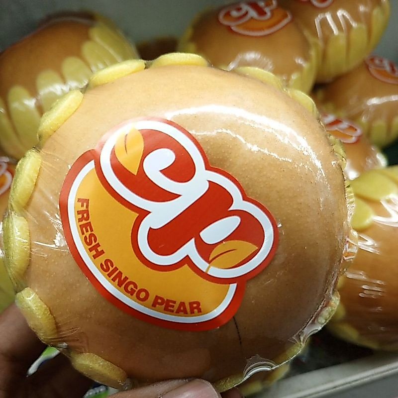 BUAH PEAR KOREA | PEAR SINGO