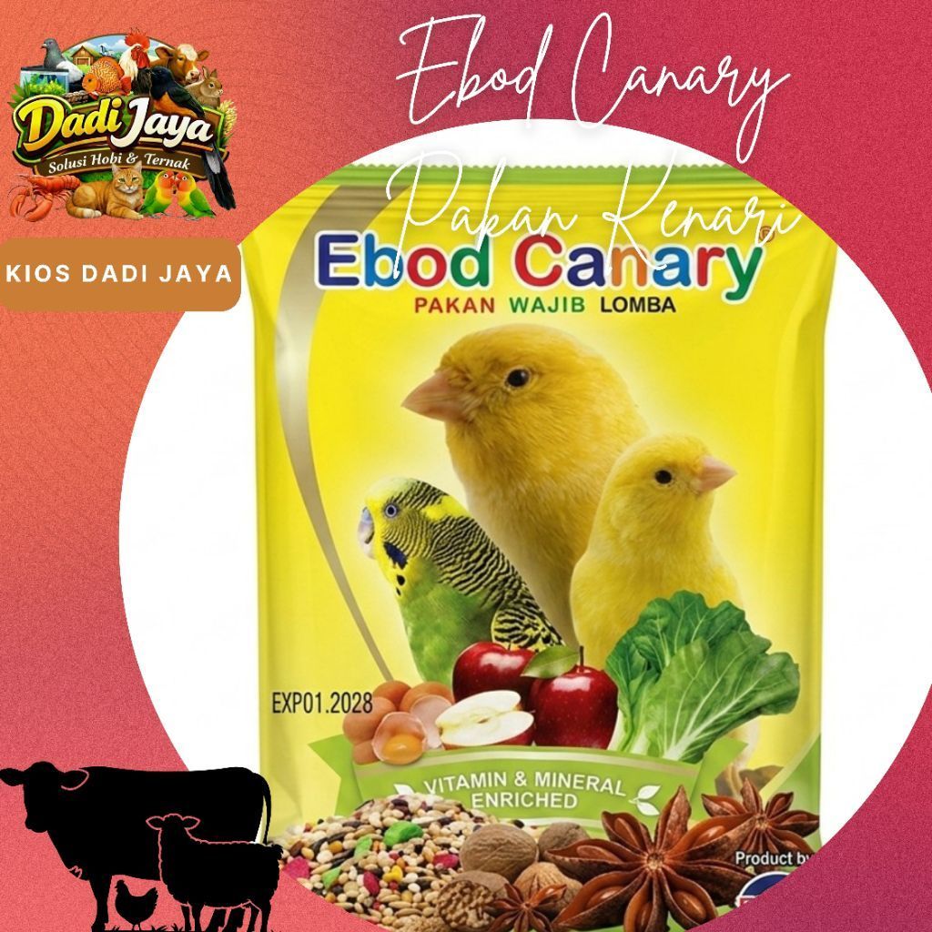 Ebod Canary | Ebod Kenari | Makanan Burung Kenari