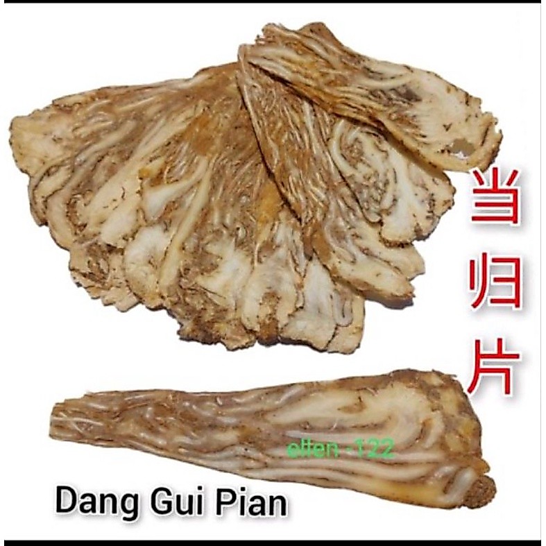 Quan Dang Gui Pian 100 gram Tang Kui Pian - Tang Kwei Tangkui Tang Kwi Tong Kui Dang Gui Iris Utuh D