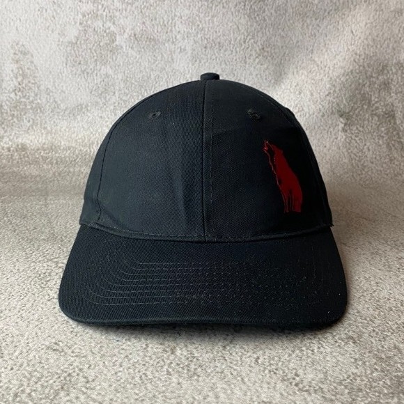 Topi Webster Wolves black cap