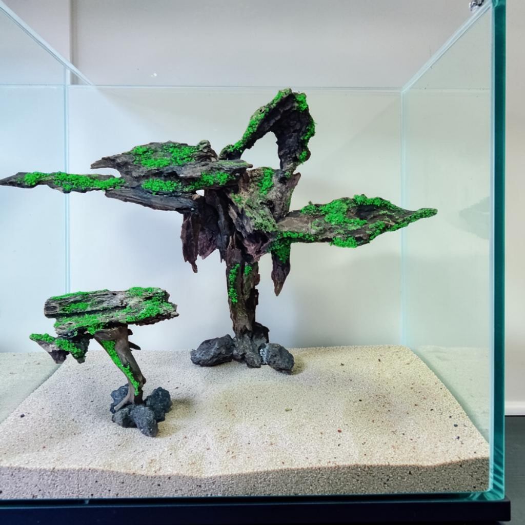 hardscape hiasan aquarium aquascape kayu rentek / Avatar aquascape