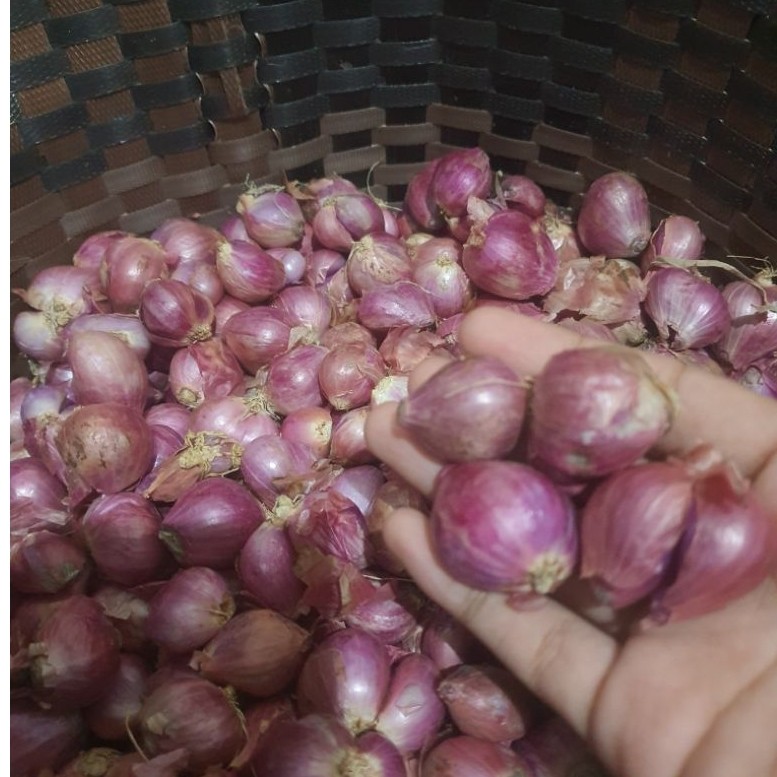 Bawang Merah 500g | 1000g | 1kg | Berkualitas