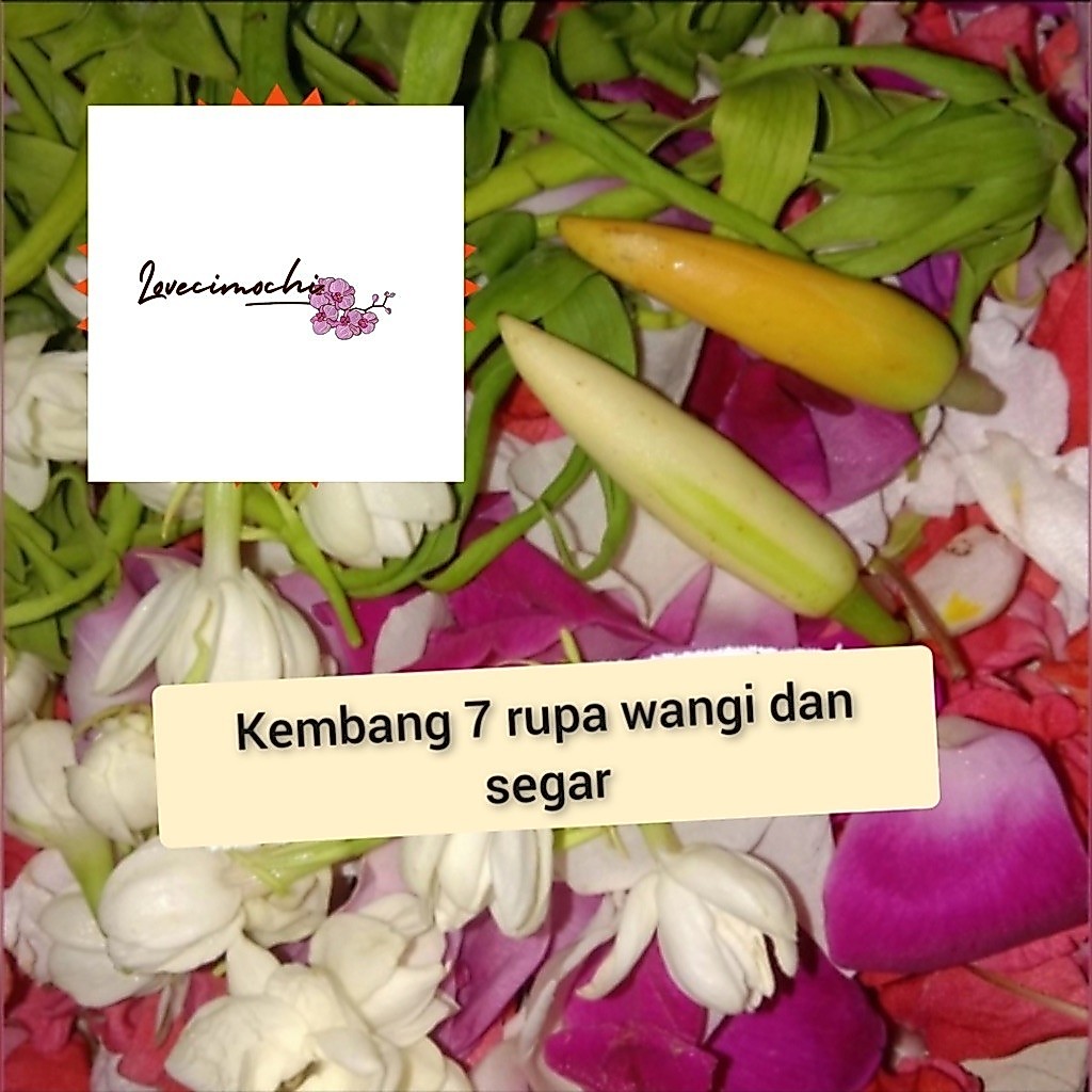 kembang 7 Rupa / Bunga 7 Rupa Asli Segar
