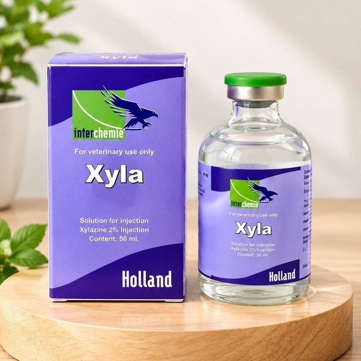 Xyla 50 ml produk original