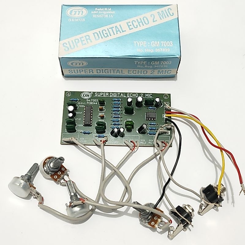 KIT SUPER DIGITAL ECHO MINI 2 MIC GM 7003