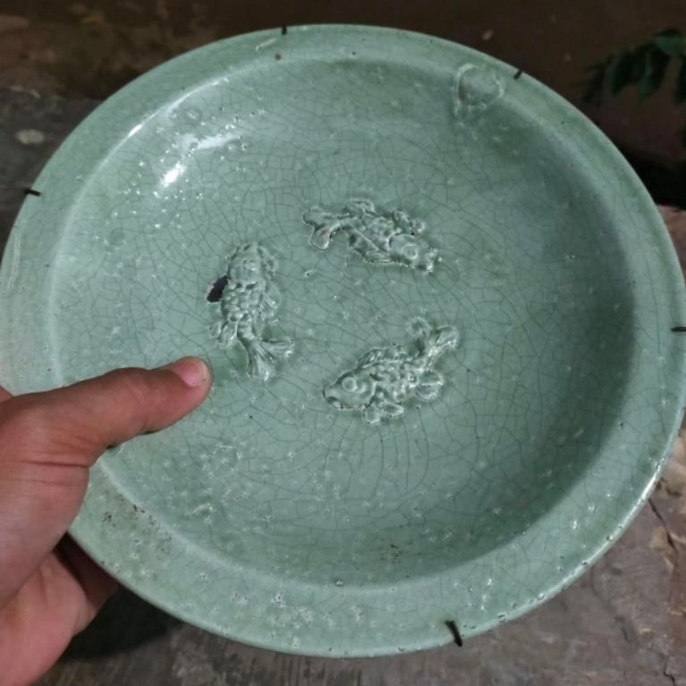 piring ikan temuan sungai