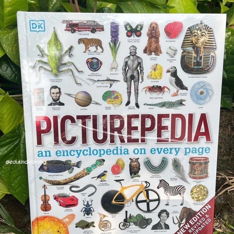 DK Picturepedia New Edition Revised & Updated / dk knowledge encyclopedia