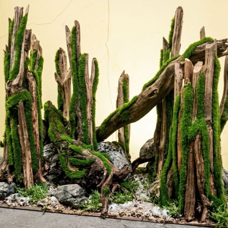 Hardscape Jungle