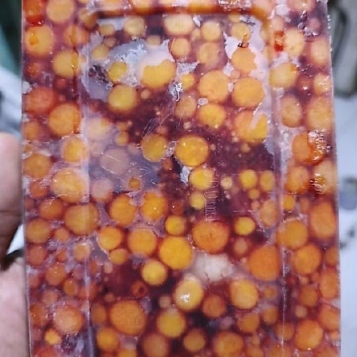 Umpan Telur Bulus / Labi-Labi 250 gram - Galatama Lele