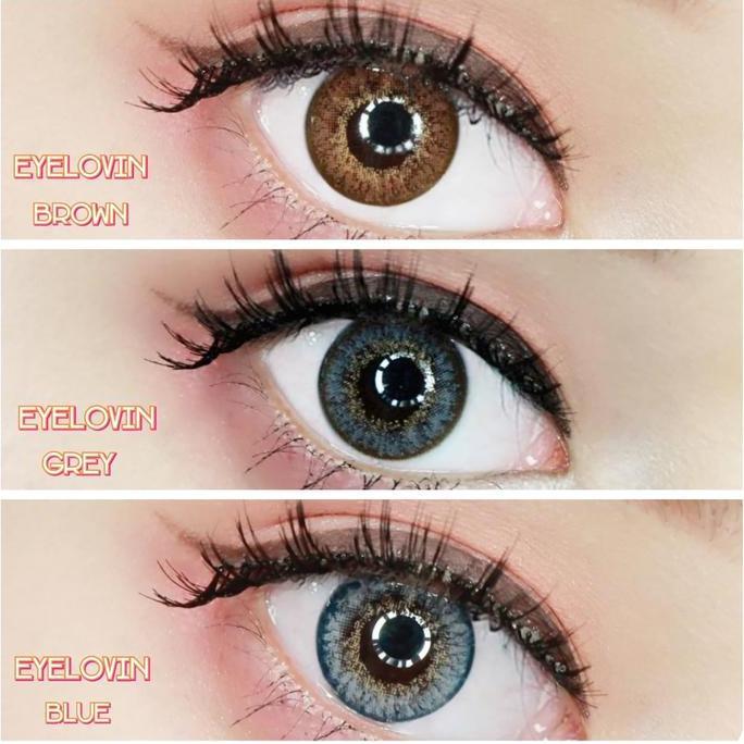 SOFTLENS EYELOVIN NORMAL BY URBAN FACTORY / EYELOVIN
