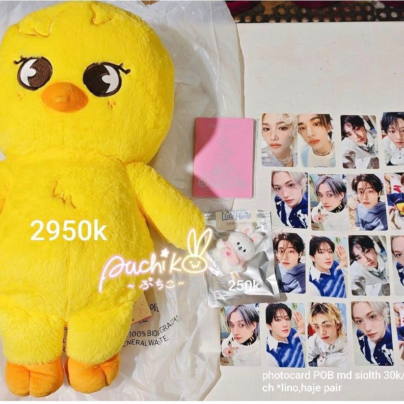 skzoo teddy bear bbokari