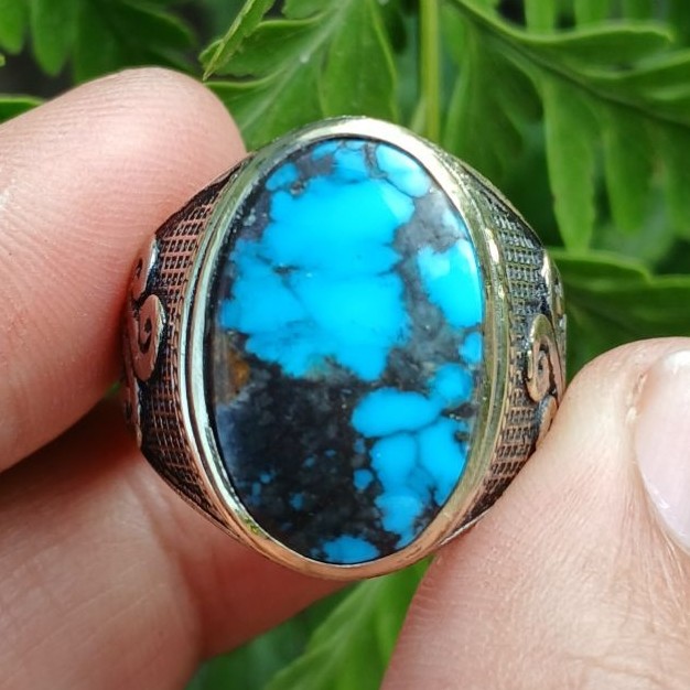 pirus persia biru ceplok